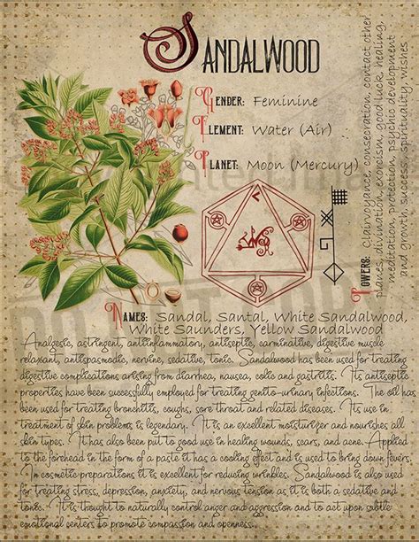 Demystifying the Legends Surrounding the Occult Green Herbarium